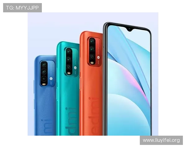 壹号旗舰厅注册平台:注册流程中的注意事项与安全保障措施