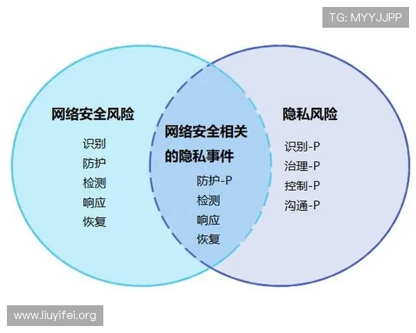 壹号官方手机版安全保障措施与隐私保护策略，保障玩家账号安全无忧